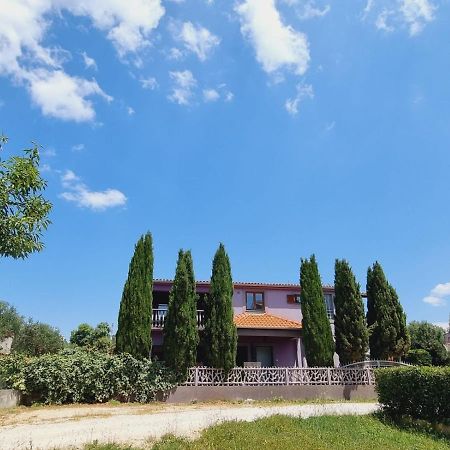 Apartmani Nika Bibinje Esterno foto