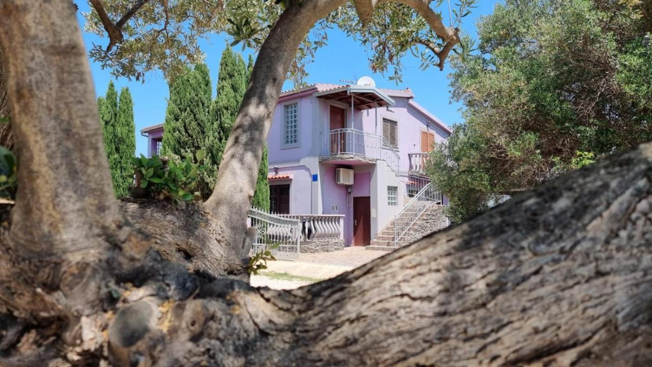 Apartmani Nika Bibinje Esterno foto