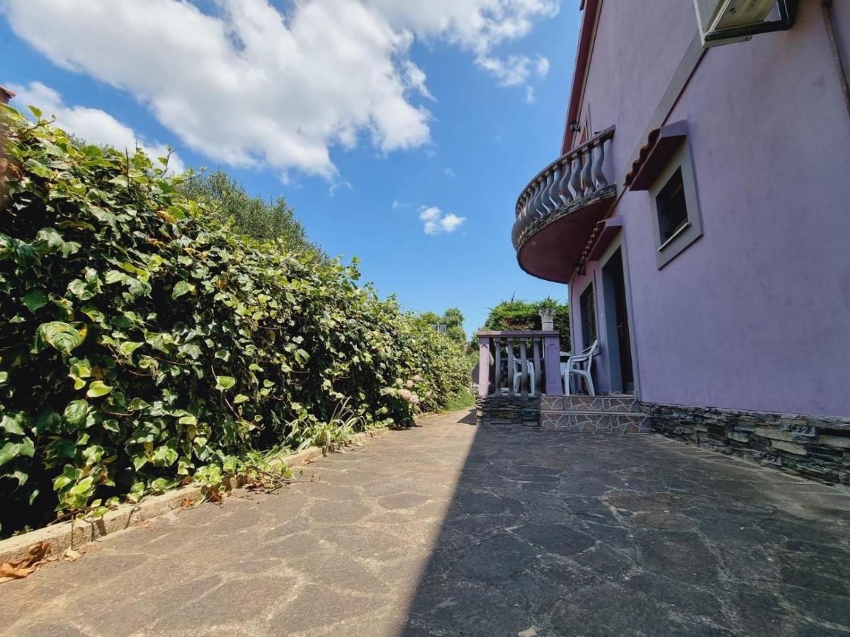 Apartmani Nika Bibinje Esterno foto